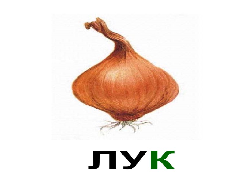 ЛУК